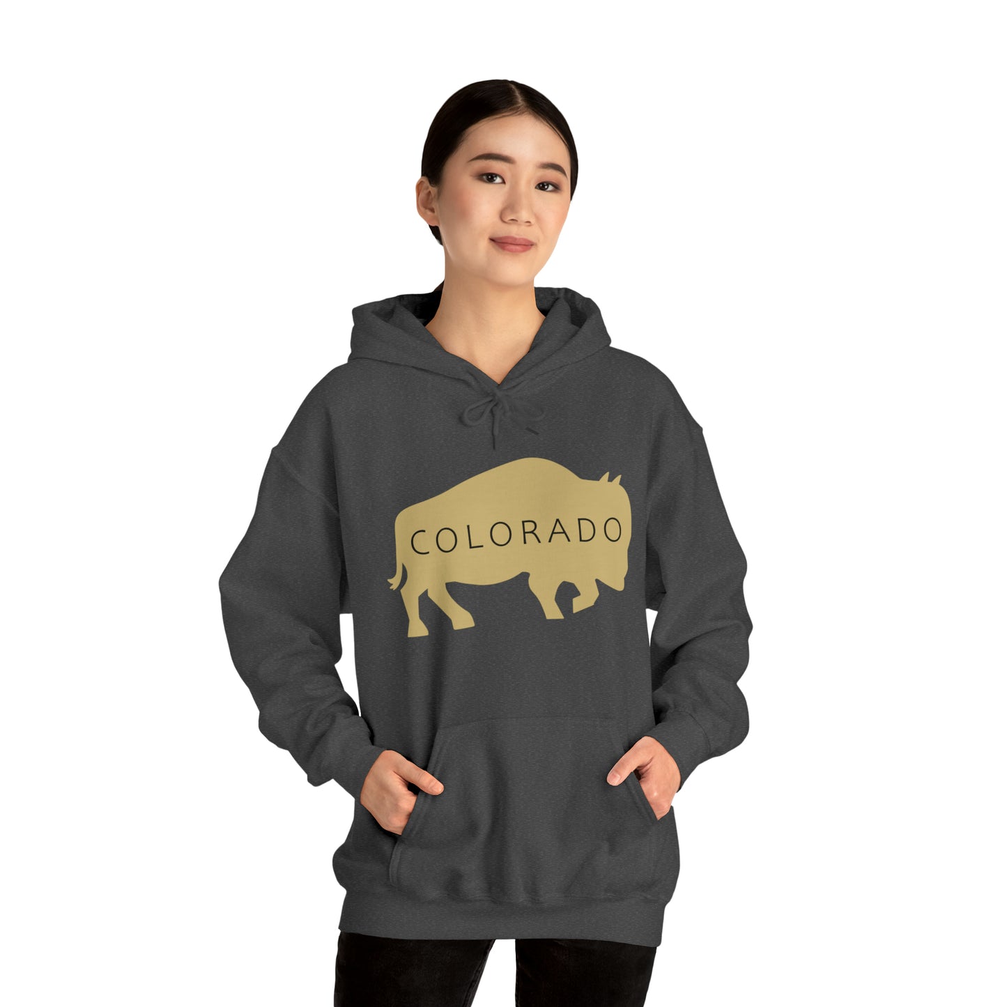 Colorado - Buffalo Silhouette - Unisex Heavy Blend™ Hooded Sweatshirt