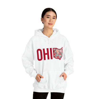 Ohio - Unisex Heavy Blend™ Hooded Sweatshirt