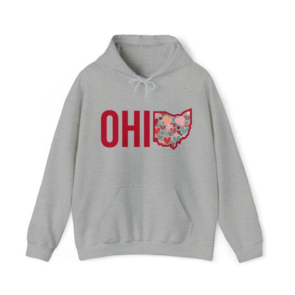 Ohio - Unisex Heavy Blend™ Hooded Sweatshirt