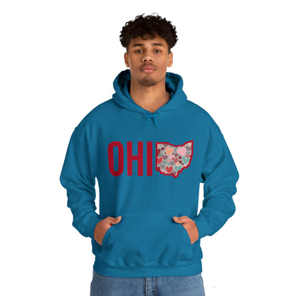 Ohio - Unisex Heavy Blend™ Hooded Sweatshirt