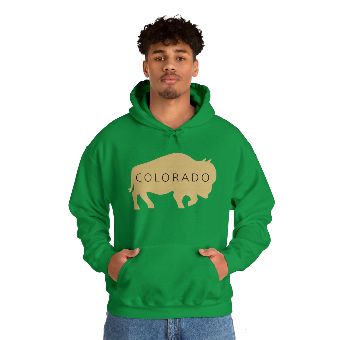 Colorado - Buffalo Silhouette - Unisex Heavy Blend™ Hooded Sweatshirt