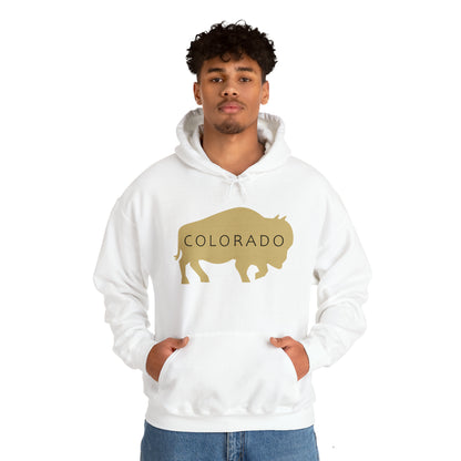 Colorado - Buffalo Silhouette - Unisex Heavy Blend™ Hooded Sweatshirt