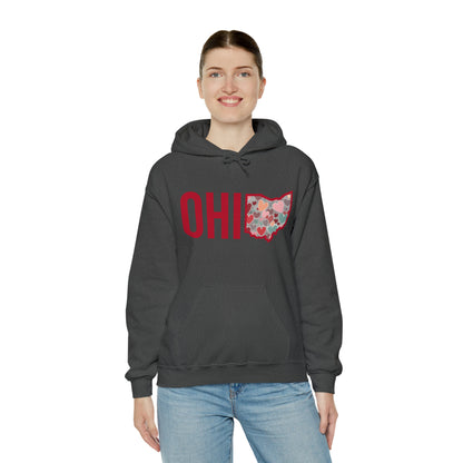 Ohio - Unisex Heavy Blend™ Hooded Sweatshirt