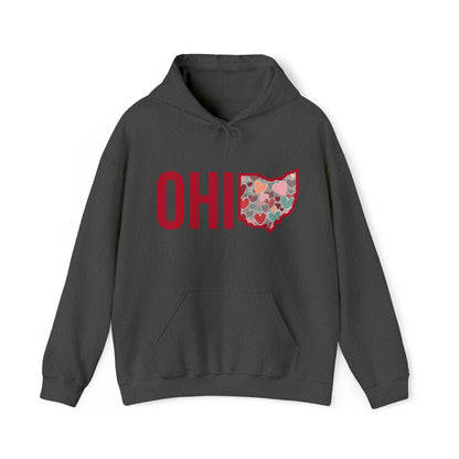 Ohio - Unisex Heavy Blend™ Hooded Sweatshirt