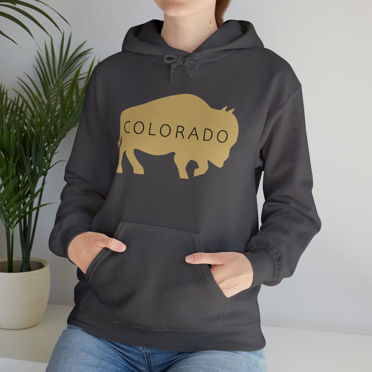 Colorado - Buffalo Silhouette - Unisex Heavy Blend™ Hooded Sweatshirt