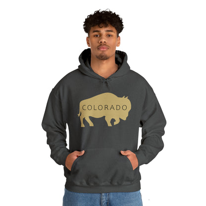 Colorado - Buffalo Silhouette - Unisex Heavy Blend™ Hooded Sweatshirt