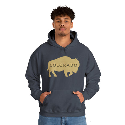 Colorado - Buffalo Silhouette - Unisex Heavy Blend™ Hooded Sweatshirt