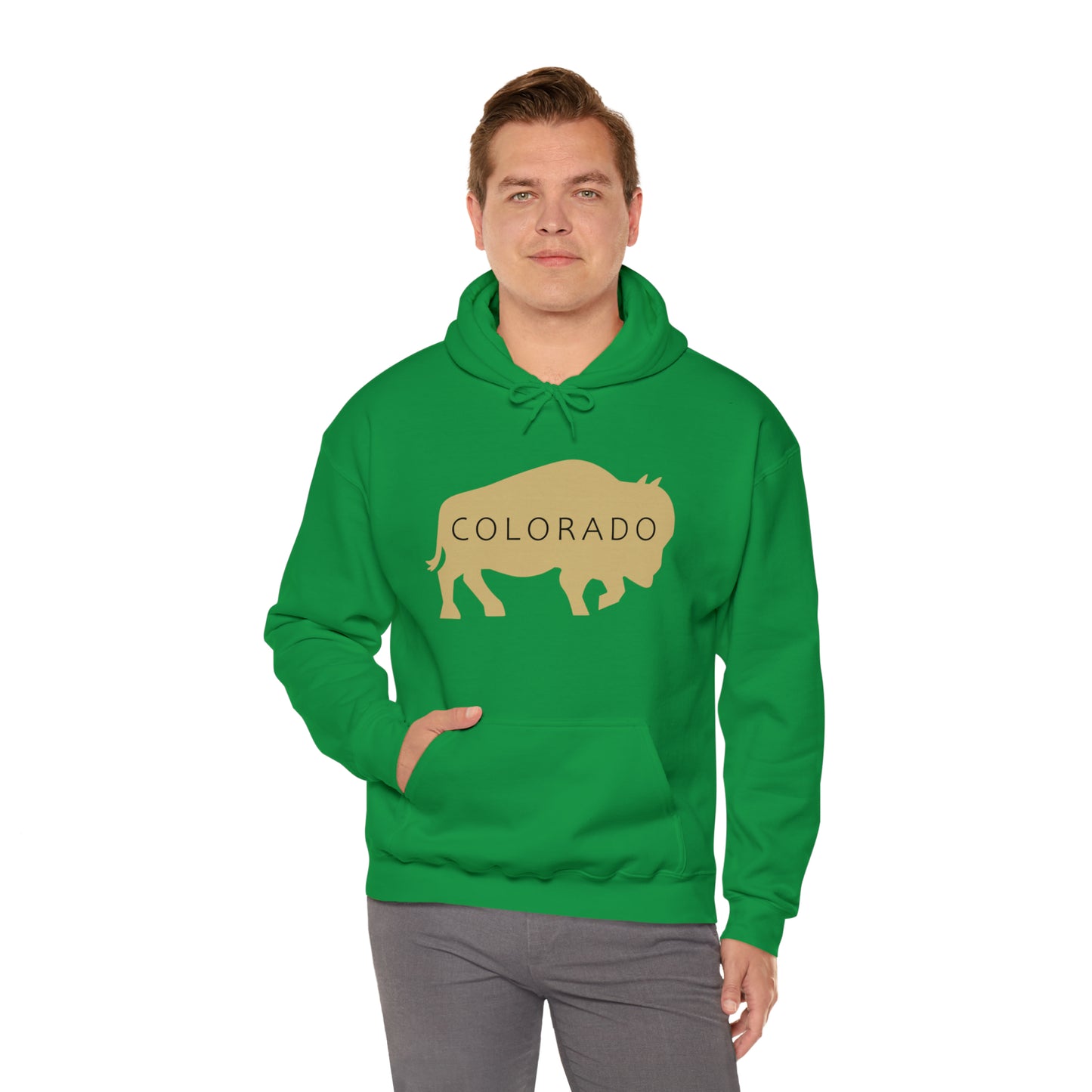 Colorado - Buffalo Silhouette - Unisex Heavy Blend™ Hooded Sweatshirt