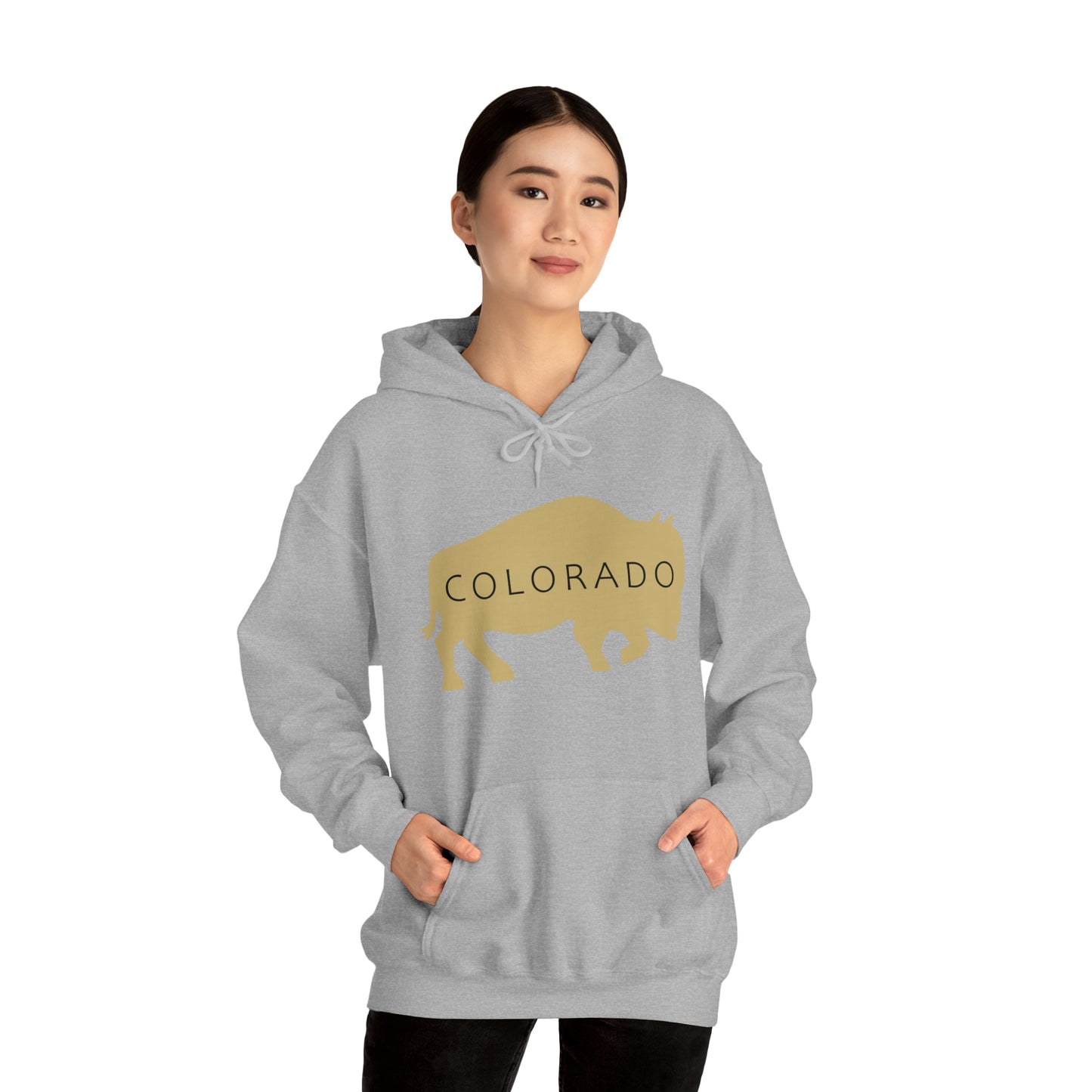 Colorado - Buffalo Silhouette - Unisex Heavy Blend™ Hooded Sweatshirt